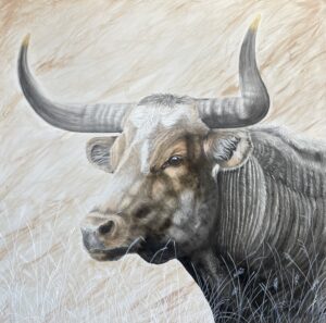 Bull