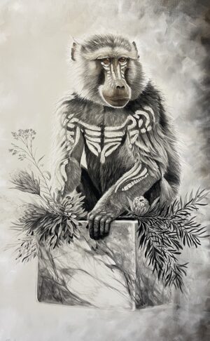 Baboon