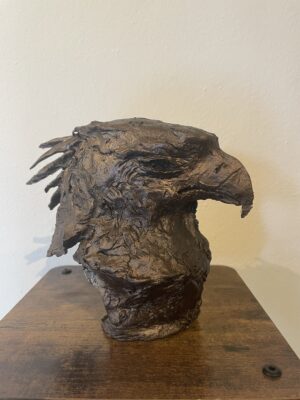 Hawk