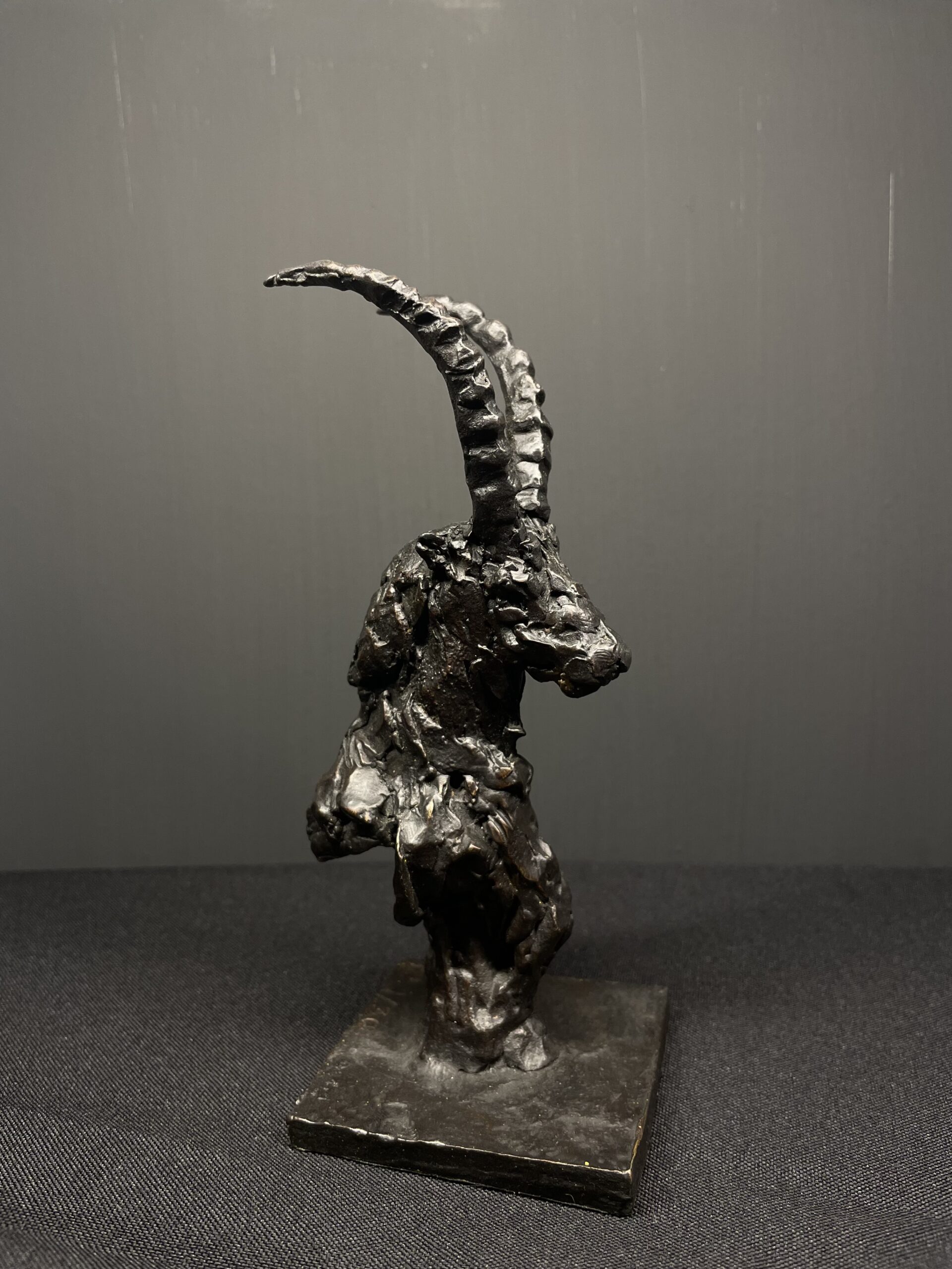 Ibex