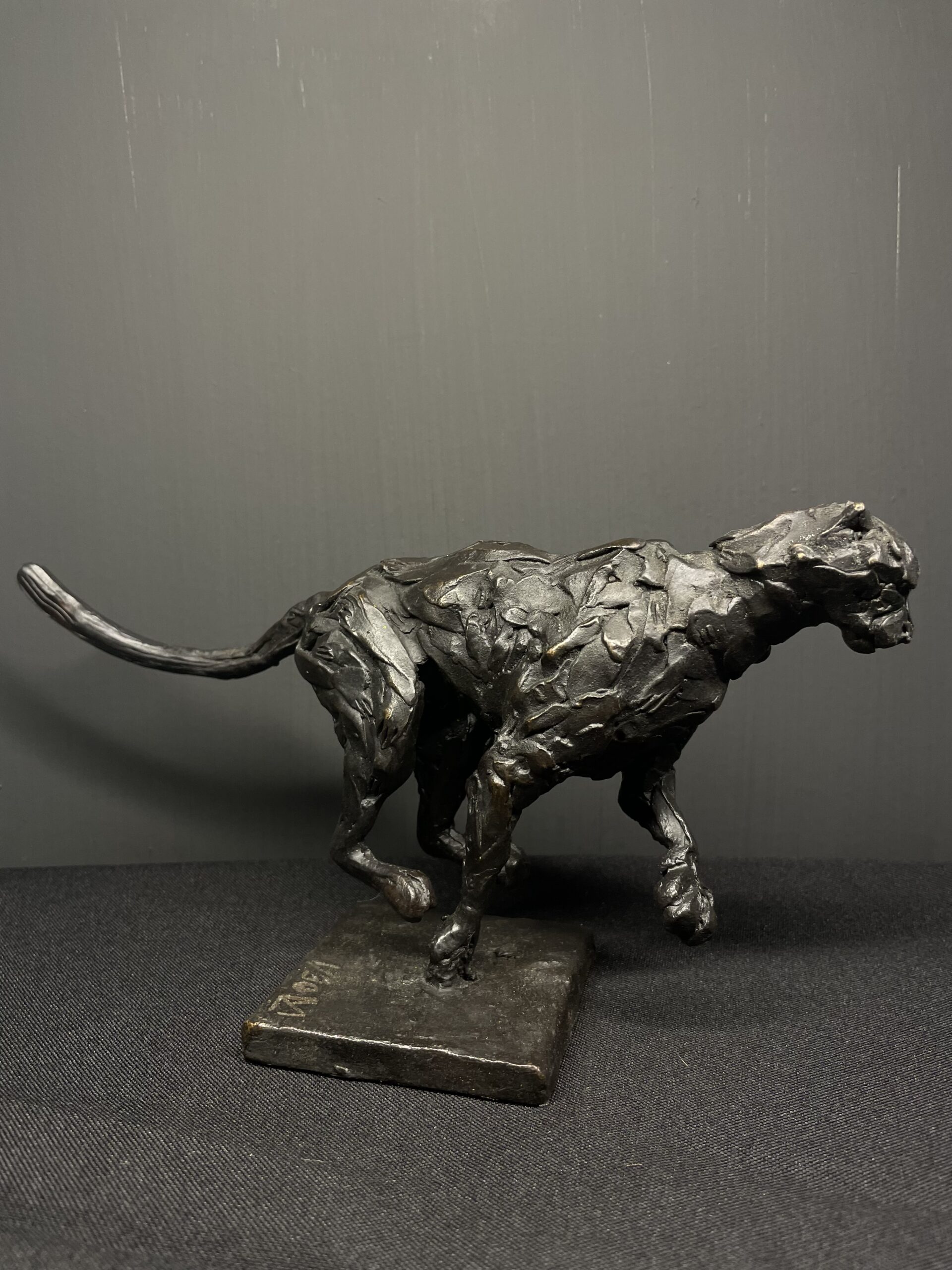 Running Cheetah