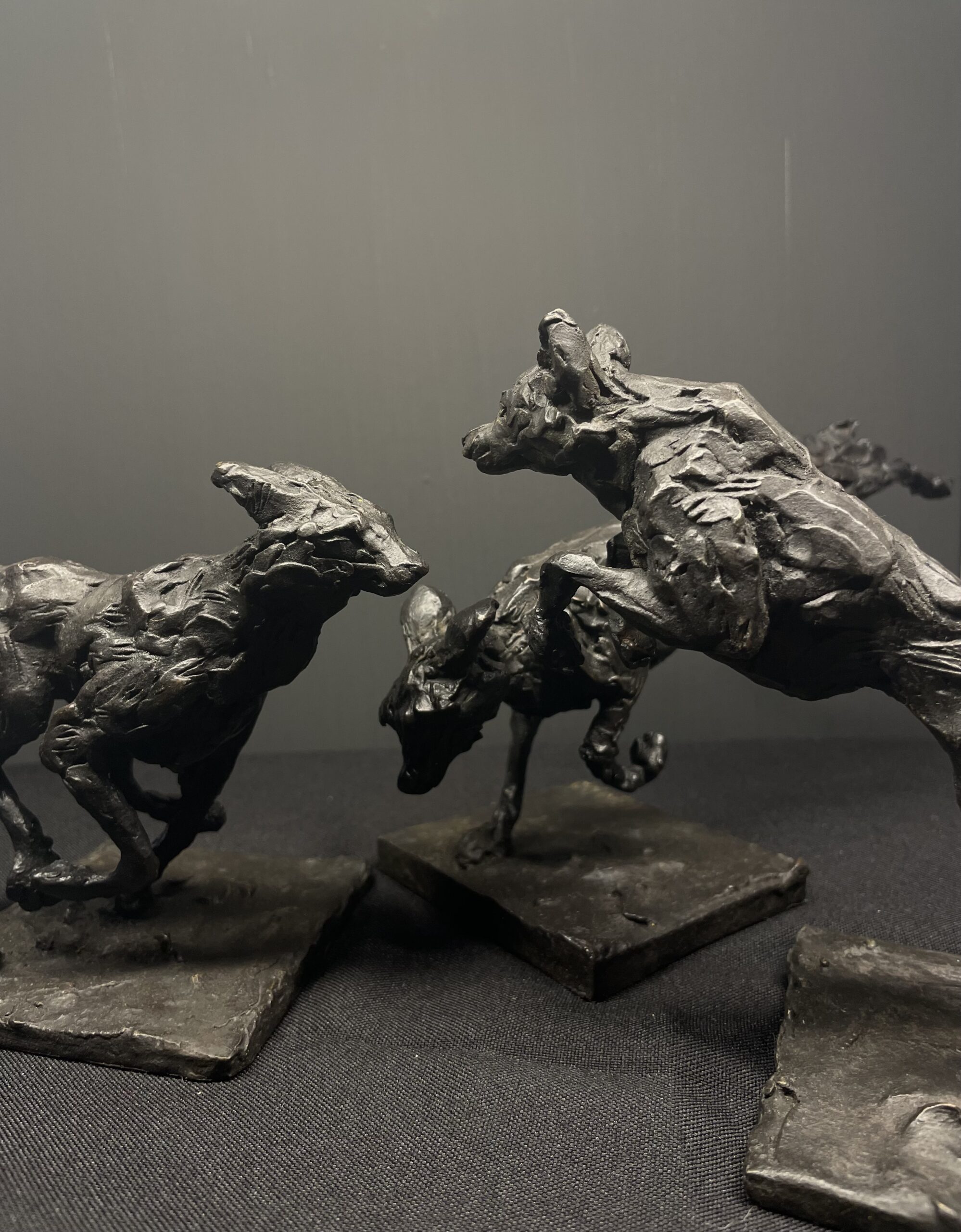 Wild Dog Set (3)